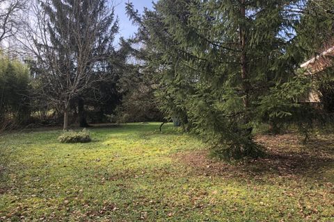 Terra a Camarsac, Gironde, Camarsac - € 99.000 | Ref: MB-0705-Camarsac - foto 5