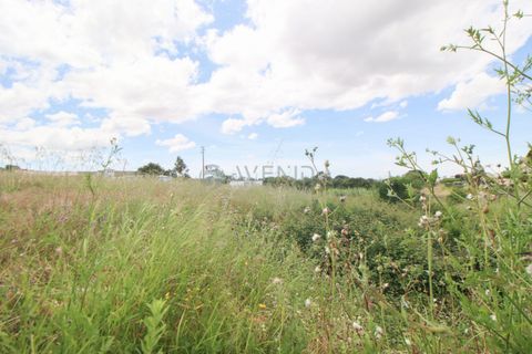 Helårsgrund i Barreiro, Setubal, Barreiro - € 173.000 | Ref: 3045 - foto 9