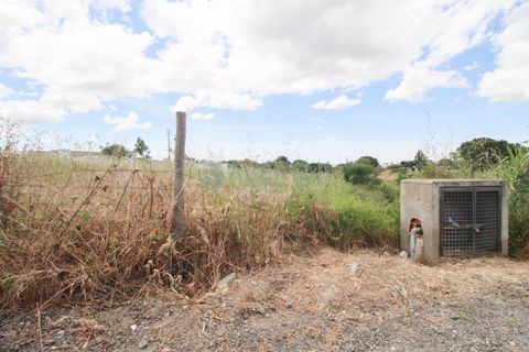 Helårsgrund i Barreiro, Setubal, Barreiro - € 173.000 | Ref: 3045 - foto 10