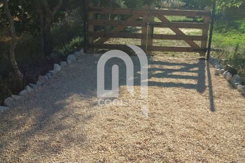 Farm i Odemira, Beja, Odemira - € 550.000 | Ref: 211.SC.25. - foto 29