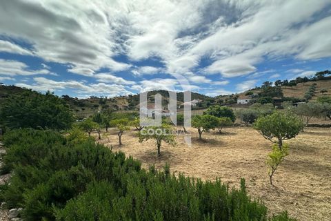 Farm i Odemira, Beja, Odemira - € 550.000 | Ref: 211.SC.25. - foto 32