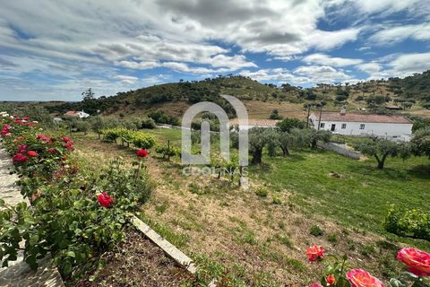 Farm i Odemira, Beja, Odemira - € 550.000 | Ref: 211.SC.25. - foto 33