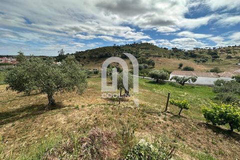 Farm i Odemira, Beja, Odemira - € 550.000 | Ref: 211.SC.25. - foto 34