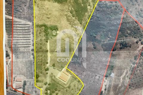 Farm i Odemira, Beja, Odemira - € 550.000 | Ref: 211.SC.25. - foto 36
