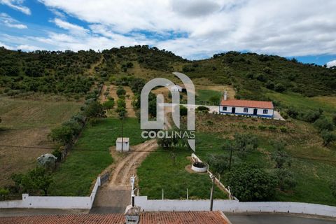 Farm i Odemira, Beja, Odemira - € 550.000 | Ref: 211.SC.25. - foto 41