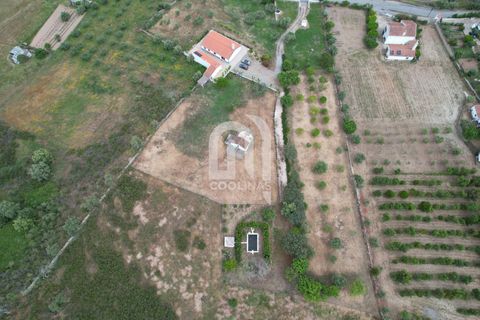 Farm i Odemira, Beja, Odemira - € 550.000 | Ref: 211.SC.25. - foto 45