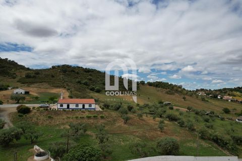 Farm i Odemira, Beja, Odemira - € 550.000 | Ref: 211.SC.25. - foto 46