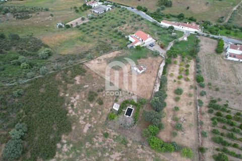 Farm i Odemira, Beja, Odemira - € 550.000 | Ref: 211.SC.25. - foto 48