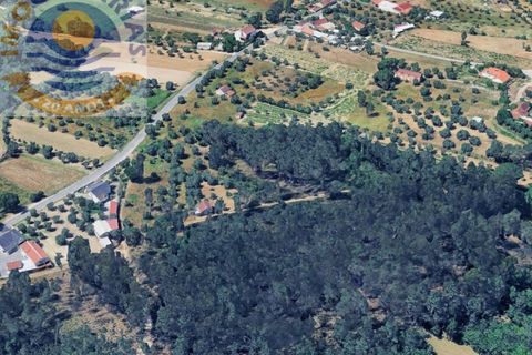 Helårsgrund i Ourem, Santarem, Ourem - € 75.000 | Ref: SÒL_810 - foto 2