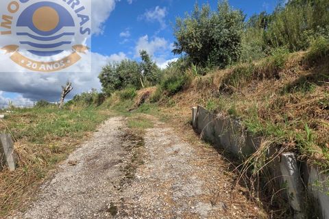 Helårsgrund i Gondemaria e Olival, Santarem, Gondemaria e Olival - € 70.000 | Ref: TER_808 - foto 3