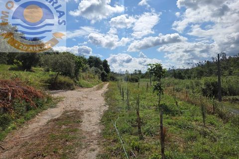 Helårsgrund i Gondemaria e Olival, Santarem, Gondemaria e Olival - € 70.000 | Ref: TER_808 - foto 4