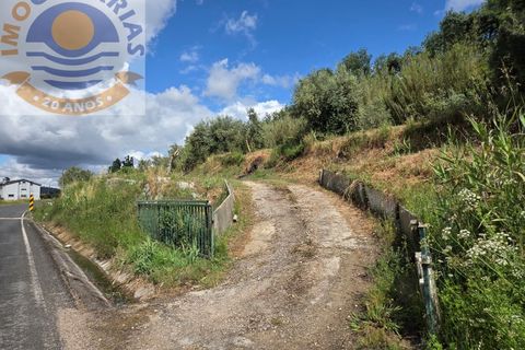 Helårsgrund i Gondemaria e Olival, Santarem, Gondemaria e Olival - € 70.000 | Ref: TER_808 - foto 5
