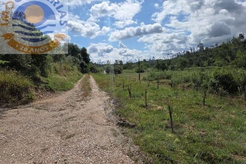 Helårsgrund i Gondemaria e Olival, Santarem, Gondemaria e Olival - € 70.000 | Ref: TER_808 - foto 6