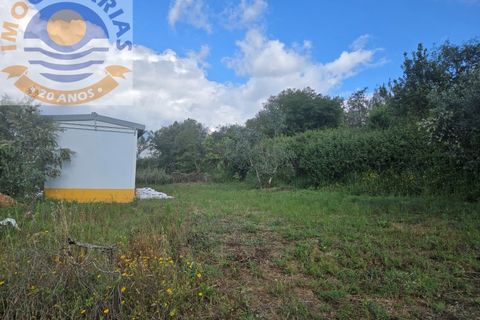 Helårsgrund i Gondemaria e Olival, Santarem, Gondemaria e Olival - € 70.000 | Ref: TER_808 - foto 13