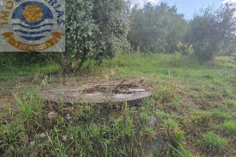 Helårsgrund i Gondemaria e Olival, Santarem, Gondemaria e Olival - € 70.000 | Ref: TER_808 - foto 14