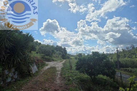 Helårsgrund i Gondemaria e Olival, Santarem, Gondemaria e Olival - € 70.000 | Ref: TER_808 - foto 15