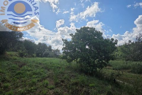 Helårsgrund i Gondemaria e Olival, Santarem, Gondemaria e Olival - € 70.000 | Ref: TER_808 - foto 18