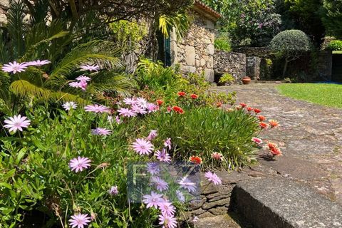 Farm i Caminha, Viana do Castelo, Caminha - € 870.000 | Ref: 9341a - foto 9