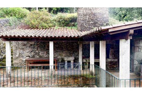 Farm i Caminha, Viana do Castelo, Caminha - € 870.000 | Ref: 9341a - foto 33