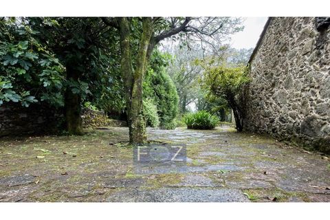 Farm i Caminha, Viana do Castelo, Caminha - € 870.000 | Ref: 9341a - foto 43