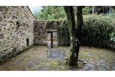 Farm i Caminha, Viana do Castelo, Caminha - € 870.000 | Ref: 9341a - foto 44