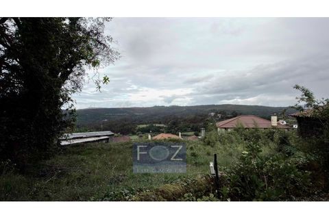 Farm i Caminha, Viana do Castelo, Caminha - € 870.000 | Ref: 9341a - foto 48