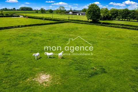 Villa i Forges-les-Eaux, Seine-Maritime, Forges-les-Eaux - € 435.000 | Ref: 87008115 - foto 3