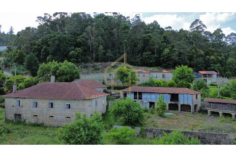 Farm i Braga, Braga, Braga - € 650.000 | Ref: MAS_001_05BRG - foto 2
