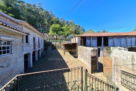 Farm i Braga, Braga, Braga - € 650.000 | Ref: MAS_001_05BRG - foto 4