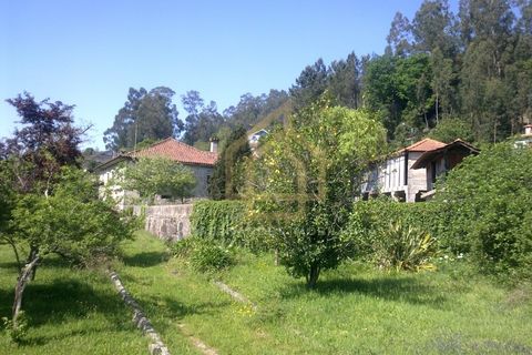 Farm i Braga, Braga, Braga - € 650.000 | Ref: MAS_001_05BRG - foto 5