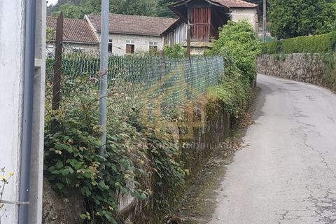 Farm i Braga, Braga, Braga - € 650.000 | Ref: MAS_001_05BRG - foto 7
