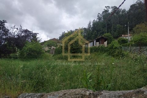 Farm i Braga, Braga, Braga - € 650.000 | Ref: MAS_001_05BRG - foto 10