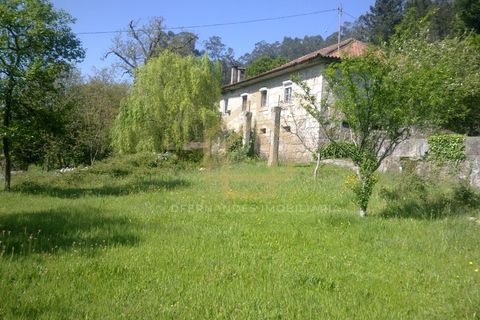 Farm i Braga, Braga, Braga - € 650.000 | Ref: MAS_001_05BRG - foto 12