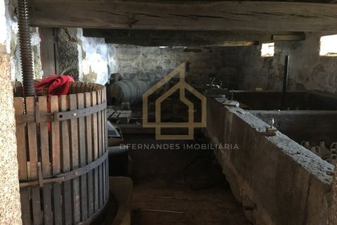 Farm i Braga, Braga, Braga - € 650.000 | Ref: MAS_001_05BRG - foto 15