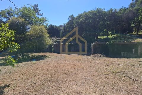 Farm i Braga, Braga, Braga - € 650.000 | Ref: MAS_001_05BRG - foto 16