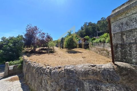 Farm i Braga, Braga, Braga - € 650.000 | Ref: MAS_001_05BRG - foto 19