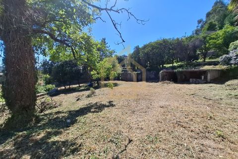 Farm i Braga, Braga, Braga - € 650.000 | Ref: MAS_001_05BRG - foto 20
