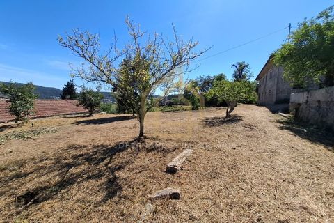 Farm i Braga, Braga, Braga - € 650.000 | Ref: MAS_001_05BRG - foto 22