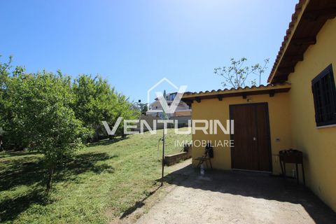 Terra a Rome, Rome, Rome - € 259.000 | Ref: VI1180T - foto 6