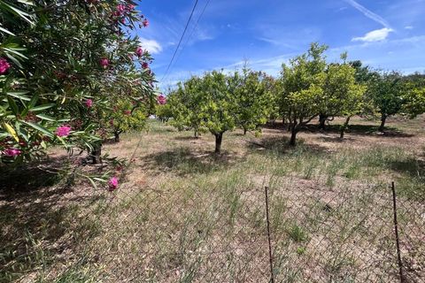 Villa i Tavira, Faro, Tavira - € 509.000 | Ref: CAS_54289 - foto 8
