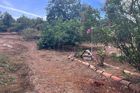 Villa i Tavira, Faro, Tavira - € 509.000 | Ref: CAS_54289 - foto 16