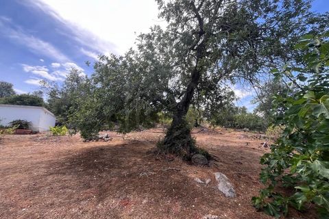 Villa i Tavira, Faro, Tavira - € 509.000 | Ref: CAS_54289 - foto 19