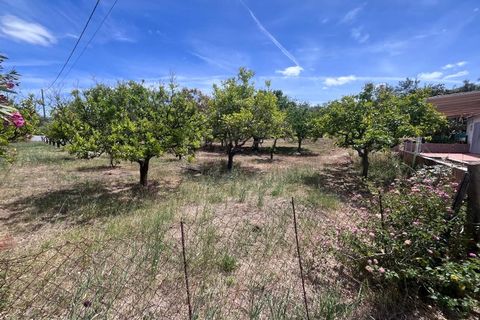 Villa i Tavira, Faro, Tavira - € 509.000 | Ref: CAS_54289 - foto 20
