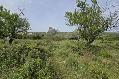 Helårsgrund i Albufeira, Faro, Albufeira - € 850.000 | Ref: SÒL_54275 - foto 11