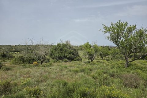 Helårsgrund i Albufeira, Faro, Albufeira - € 850.000 | Ref: SÒL_54275 - foto 17