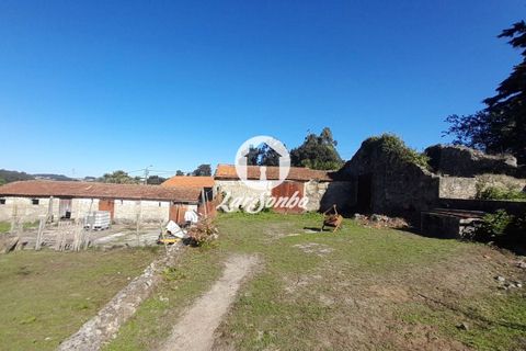 Villa i Vila do Conde, Porto, Vila do Conde - € 950.000 | Ref: 240-M-26269 - foto 18