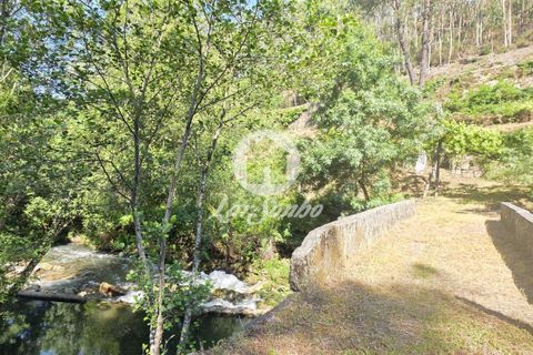 Villa a Paredes, Porto, Paredes - € 149.500 | Ref: 240-M-26265 - foto 6