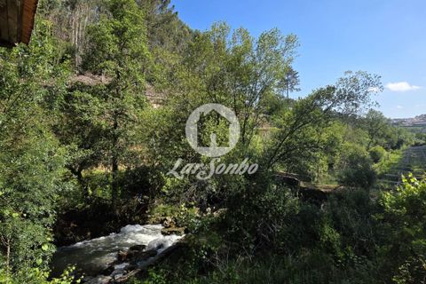 Villa a Paredes, Porto, Paredes - € 149.500 | Ref: 240-M-26265 - foto 7