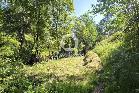 Villa a Paredes, Porto, Paredes - € 149.500 | Ref: 240-M-26265 - foto 13