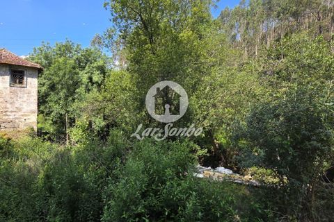 Villa a Paredes, Porto, Paredes - € 149.500 | Ref: 240-M-26265 - foto 17